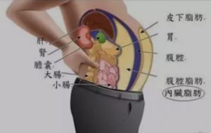 大肚腩会得到疾病盘点，肚子大一定要注意